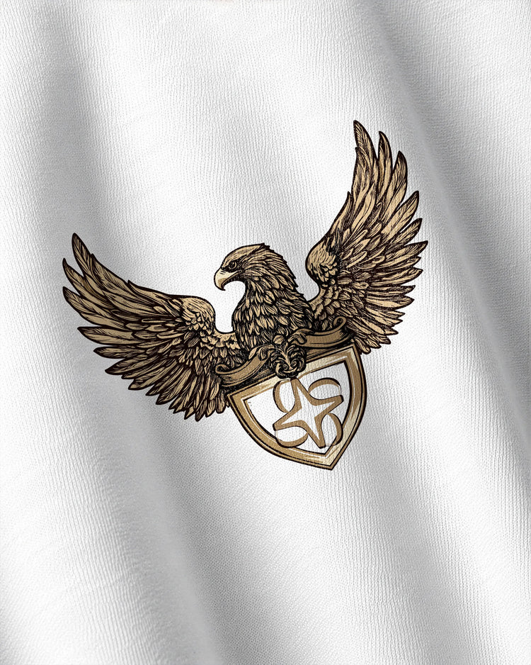 Close-up DTF print detail of Imperial Eagle design on oversized streetwear t-shirt by VDesignzDrop